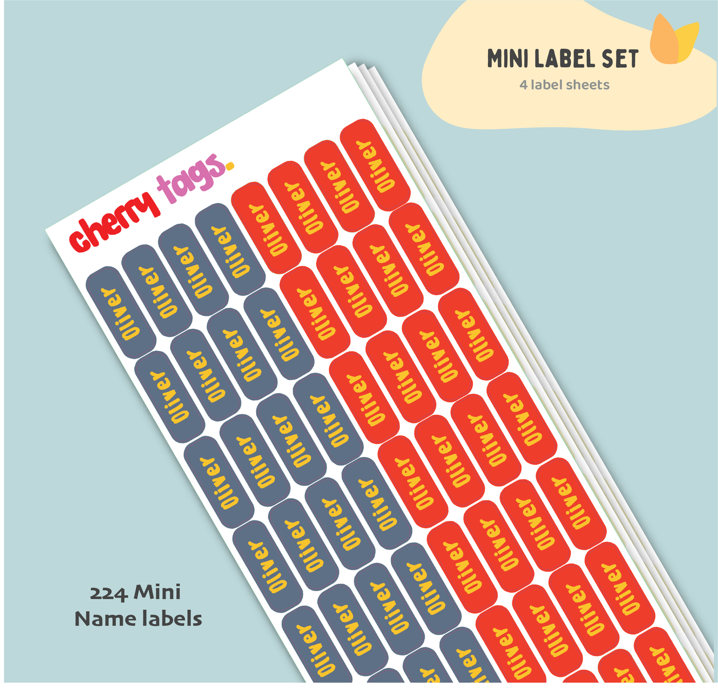 Set of Mini Name Labels