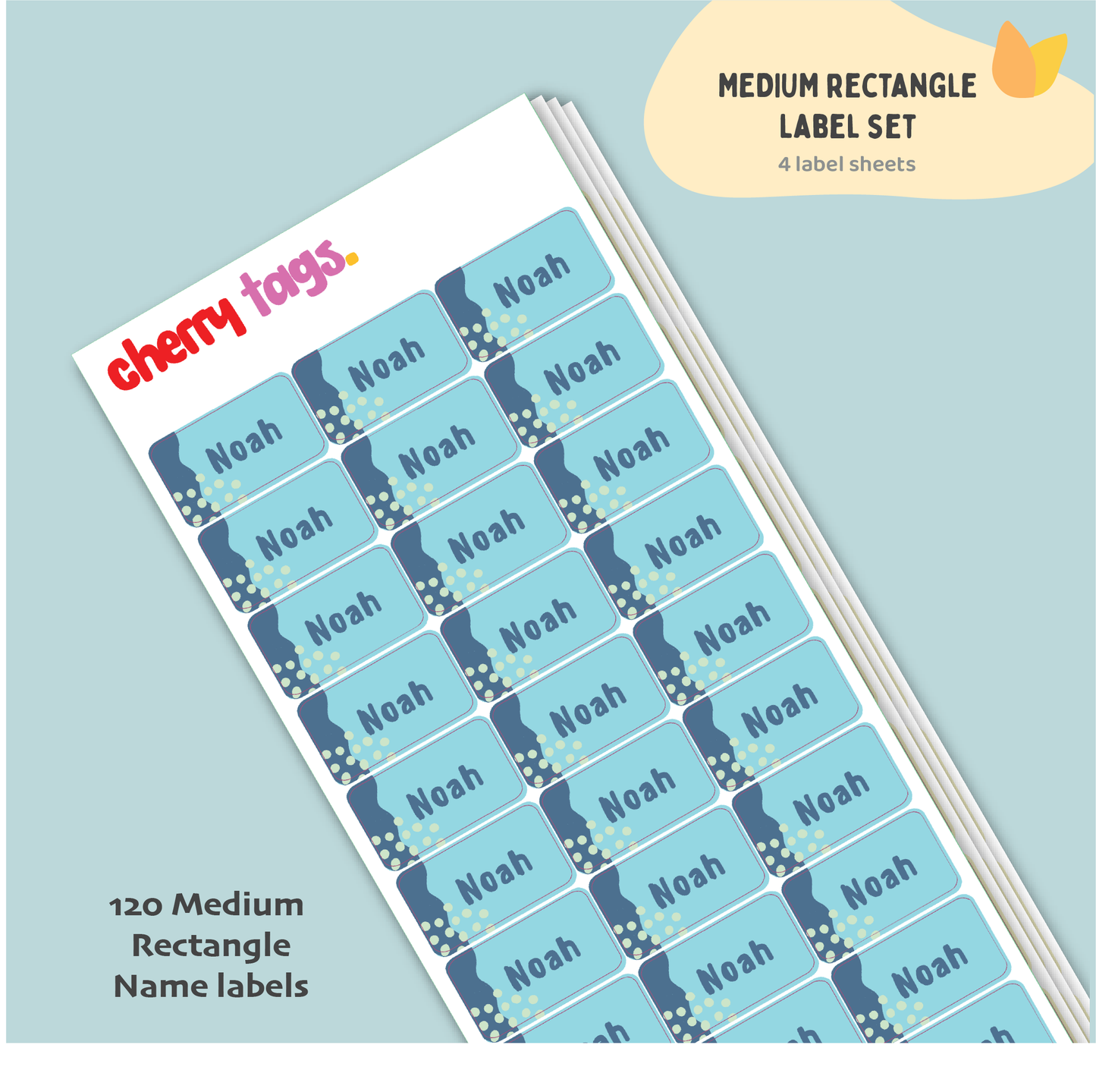 Set of Medium Rectangle Name Labels