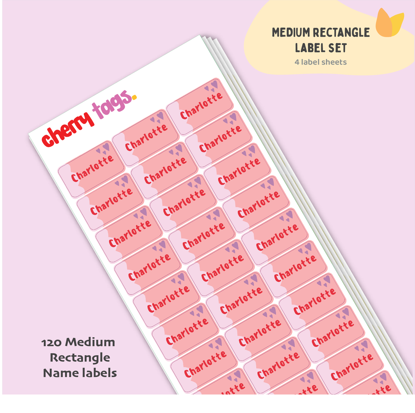 Set of Medium Rectangle Name Labels