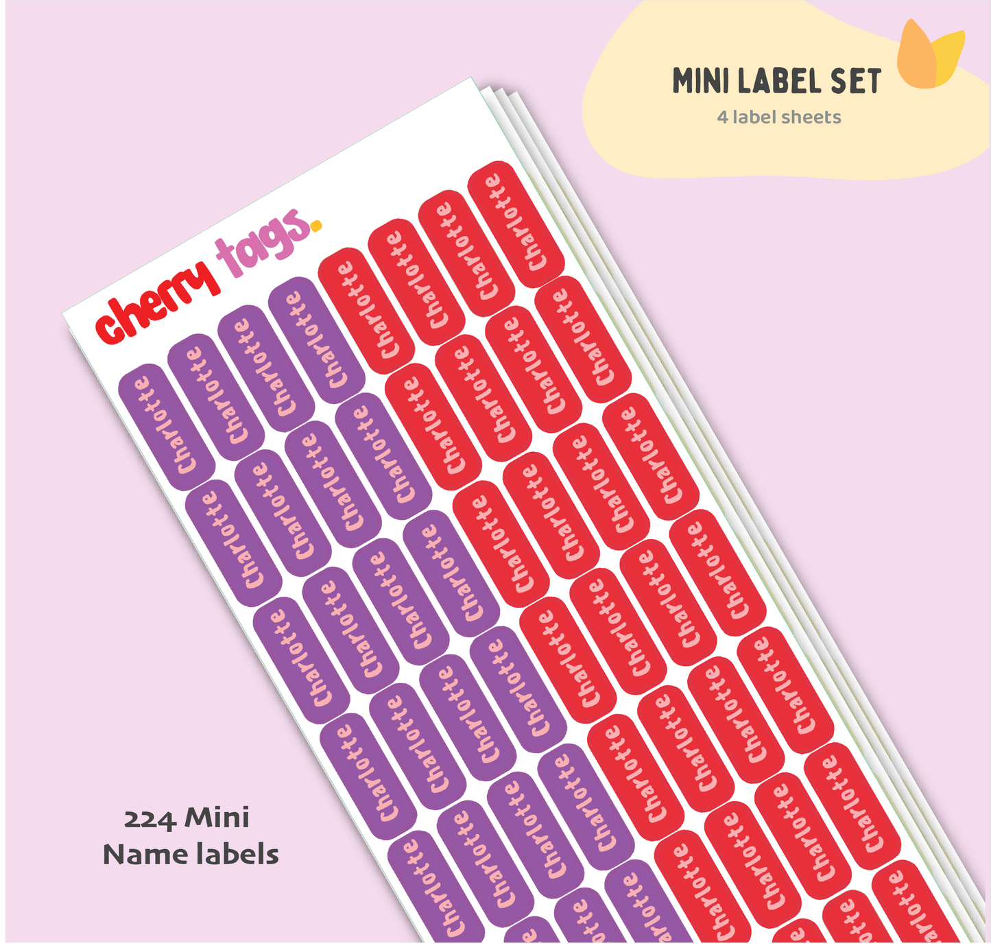 Set of Mini Name Labels
