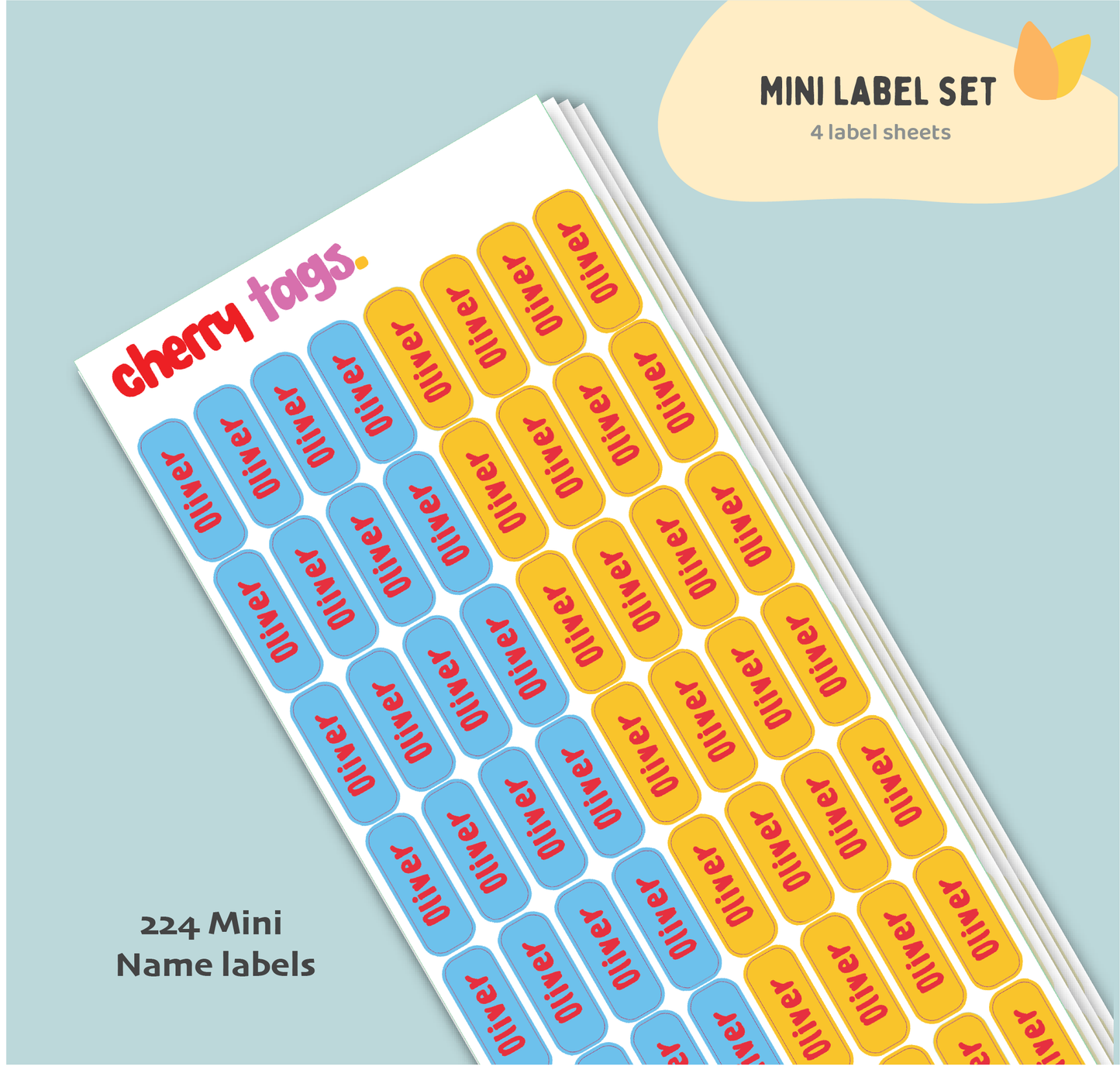 Set of Mini Name Labels