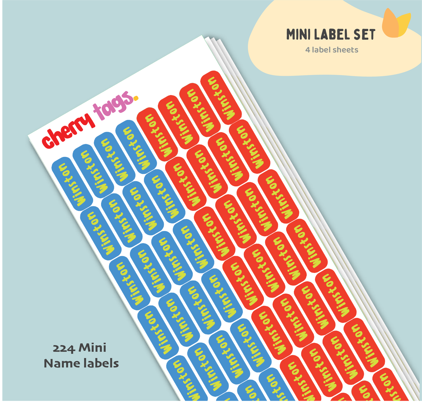 Set of Mini Name Labels